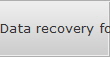 Data recovery for Natchez data